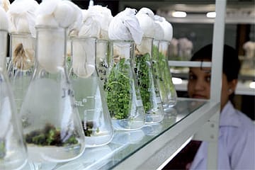 Ayurveda: Hoax or Science?