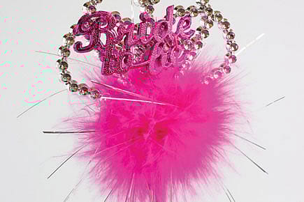 Enter the Bachelorette