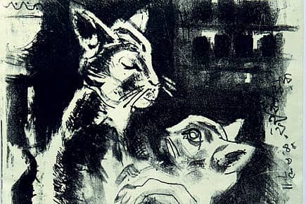 The World according to a Cat Lover