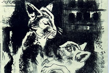 The World according to a Cat Lover