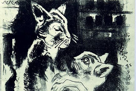 The World according to a Cat Lover