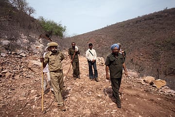 Everybody Loves a Bear Wrestler