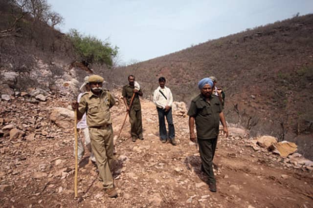 Everybody Loves a Bear Wrestler