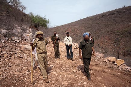 Everybody Loves a Bear Wrestler Everybody Loves a Bear Wrestler