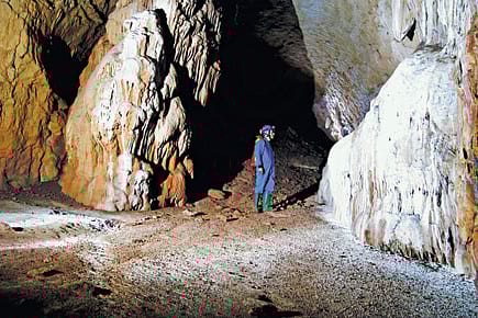 The Beauty Beneath The Beauty Beneath