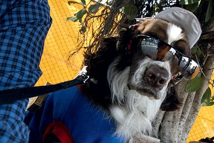 Who Let the Bitches Go?