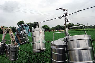 The Indian Employment Puzzle