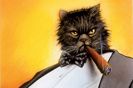 How to Tame those Fat Cats up There