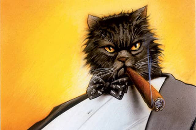 How to Tame those Fat Cats up There