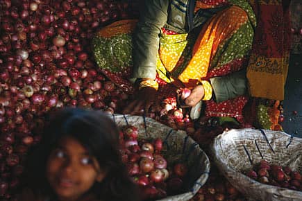 The Price of Onions Explained