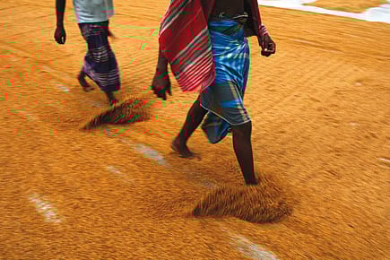 Find the Rich, Feed the Poor