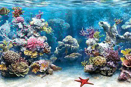 Business Briefing 28/11 Business Briefing 28/11