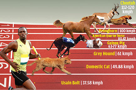 Men’s 100 Metres World Record