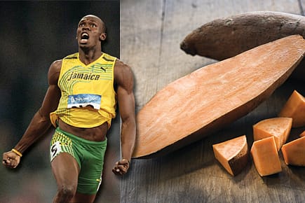 Triumph of the Lowly Yam