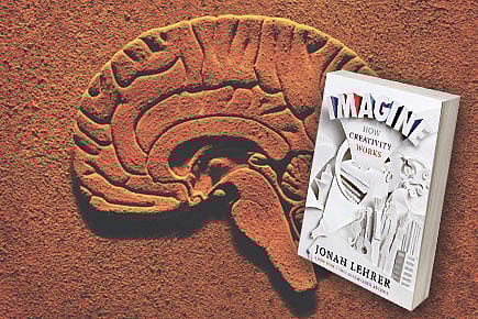 Synaptic Sizzle Synaptic Sizzle