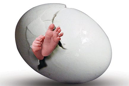 Desperate Motherhood