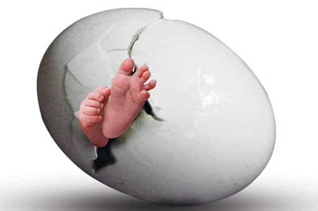 Desperate Motherhood