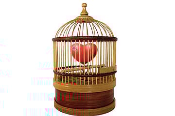 Love in the Time of Purdah