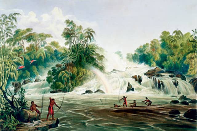 Experiments with the Novel