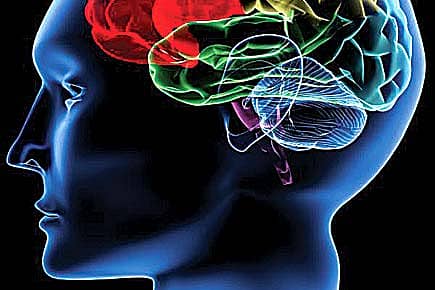 Recreating the Brain