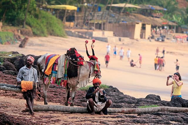 Fight the Good Bull Fight