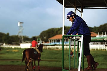 Butter Chicken as Pension