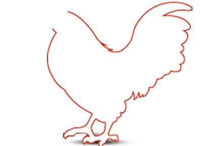 The Headless Chicken Project