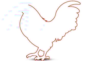 The Headless Chicken Project