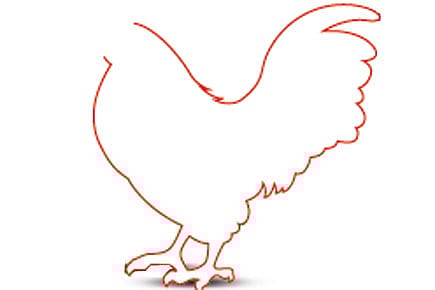 The Headless Chicken Project The Headless Chicken Project