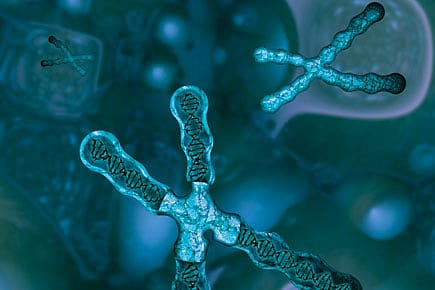 The Science of DNA Testing