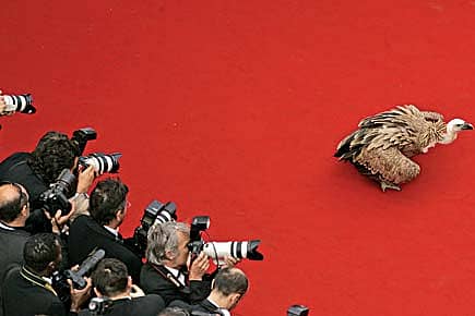 The Party’s Over at Cannes