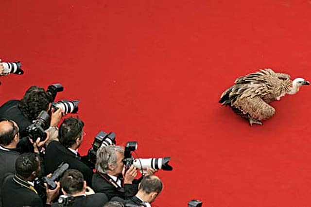 The Party’s Over at Cannes