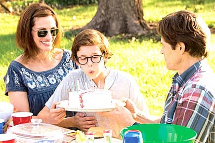 Fireflies in the Garden Fireflies in the Garden