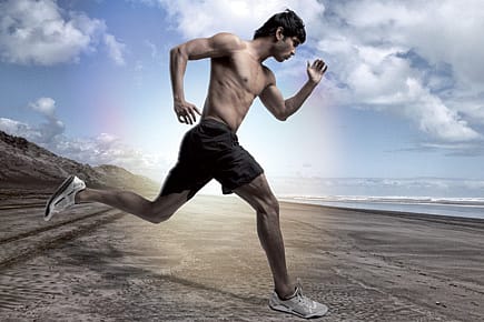 The Happy Quitter The Happy Quitter