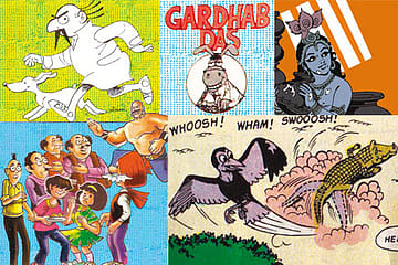 Updating the Natraj Diaries