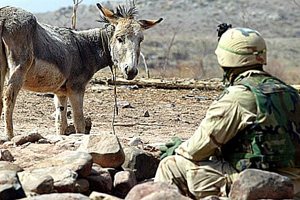 The Longest US War is Still On The Longest US War is Still On