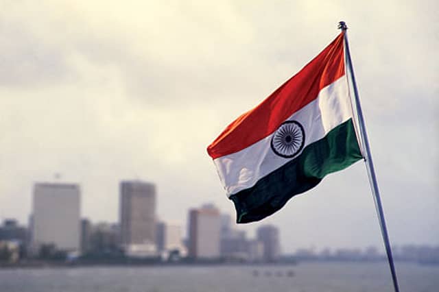 The Patriotic Ant Bully