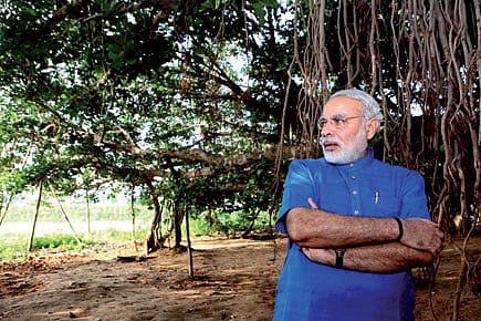 Out of the Woods Out of the Woods