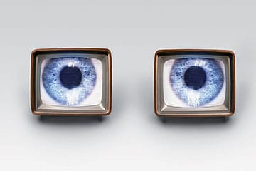 Guess who can see your tax data