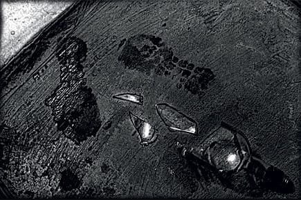 The New Criminal The New Criminal