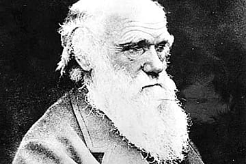 Needless Gut Wrenching?