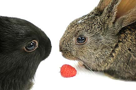 Man Who Made You Bulge with Happiness