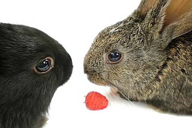 Man Who Made You Bulge with Happiness