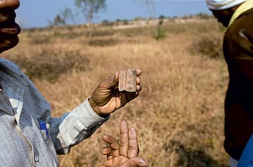 The World according to Dinosaur Dung