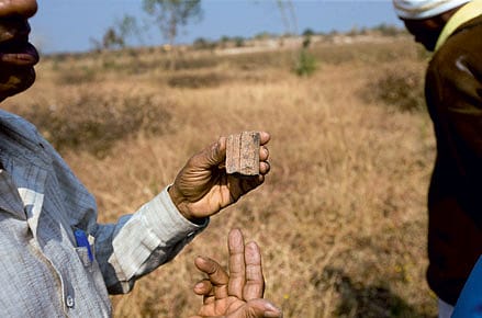 The World according to Dinosaur Dung