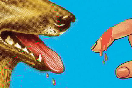 The Dog That Bit Only Foreigners