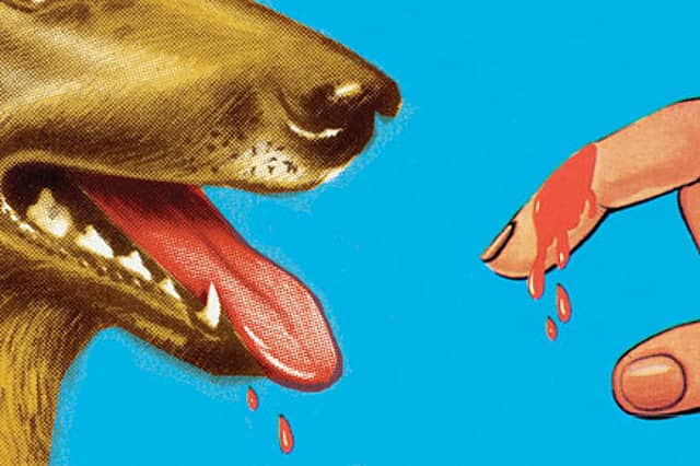 The Dog That Bit Only Foreigners