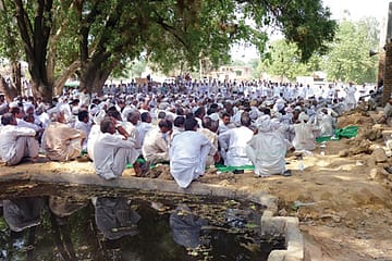 Mirchpur: A Dog Story