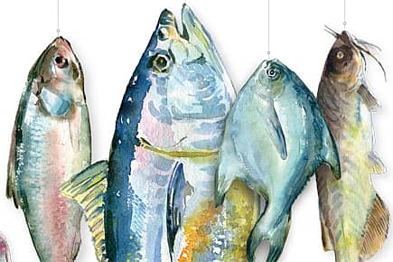 Something Fishy