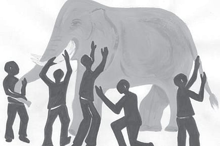 The Elephant in the Room